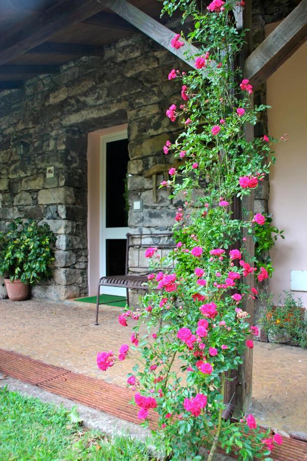 Villa Bio Quinta Do Pantano, Agro Turismo Santo Antonio da Serra Exterior foto