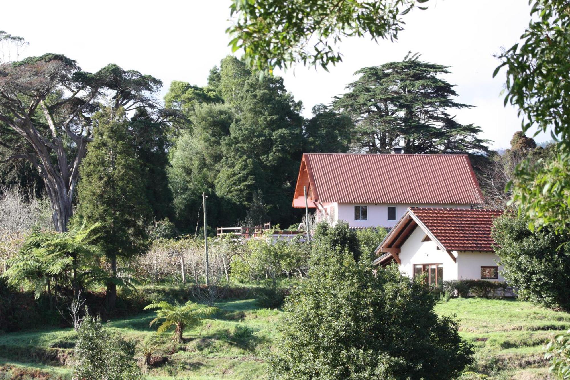 Villa Bio Quinta Do Pantano, Agro Turismo Santo Antonio da Serra Exterior foto